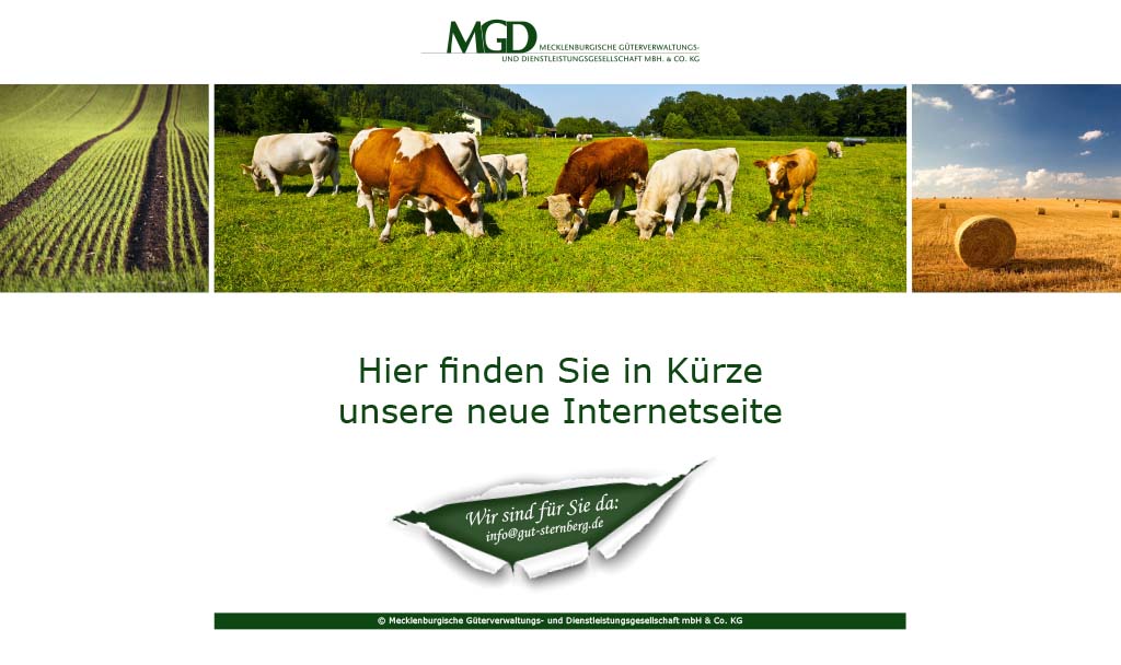 Mecklenburgische Gterverwaltungs- und Dienstleistungsgesellschaft mbH & Co. KG
